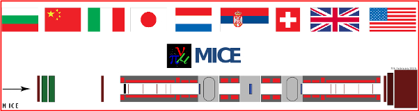 MICE countries